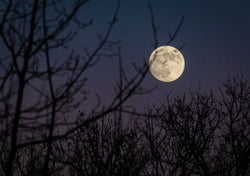 January 2023 Astrological Influences Rituals Old World Witchcraft