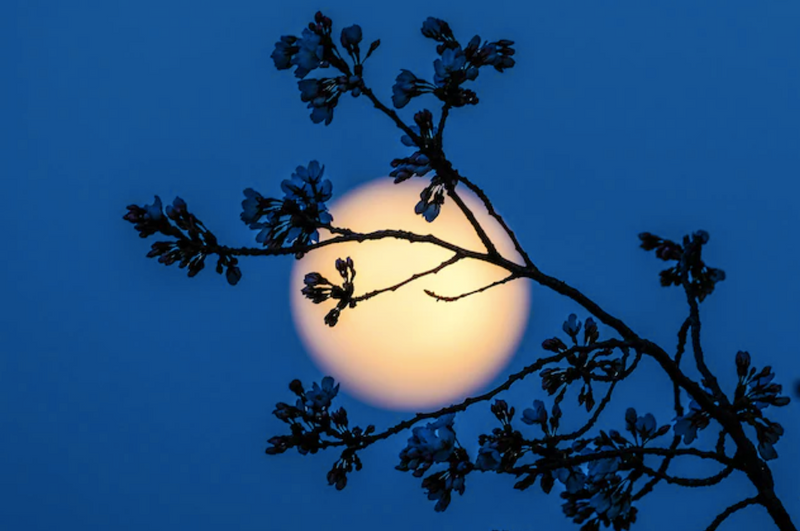 March 2021 Astrological Influences & Ritual Recommendations