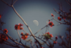 March 2022 Astrological Influences & Rituals