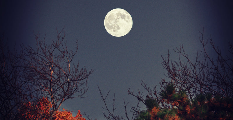 November 2021 Astrological Influences Old World Witchcraft Rituals