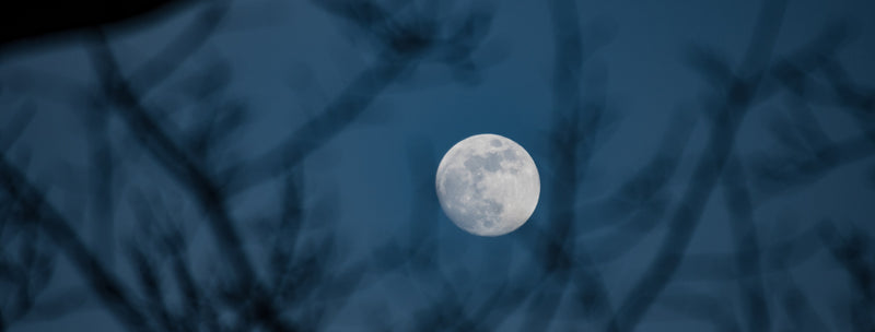 Full Moon Penumbral Eclipse